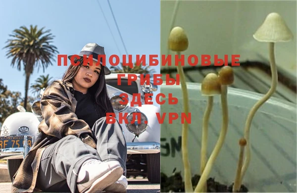 MESCALINE Беломорск