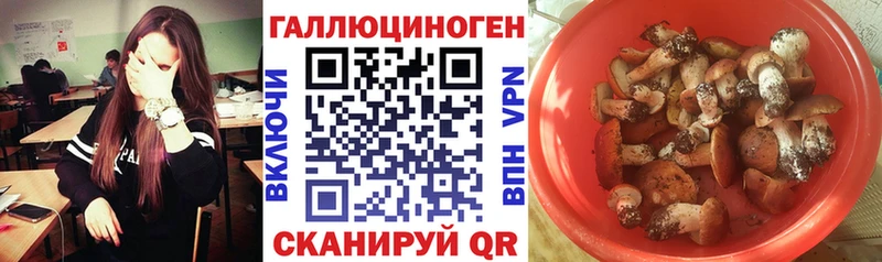 Псилоцибиновые грибы Cubensis Волчанск
